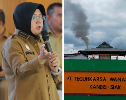 Bupati Siak, Afni panggil pimpinan PT Teguh Karsa Wana Lestari (foto/int)